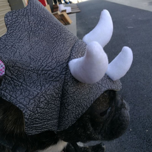 Triceratops Pet Hat – Dinosaur Costume for Dogs n Cats