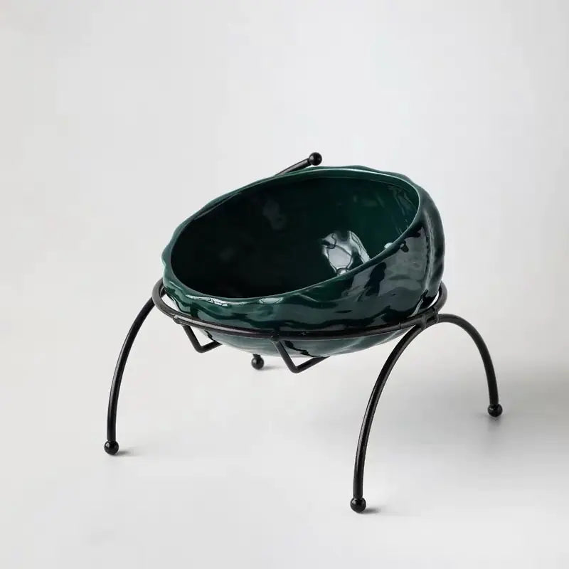 Elevated Comfort Bowl Stylish Raised Feeder for Cats and Dogs