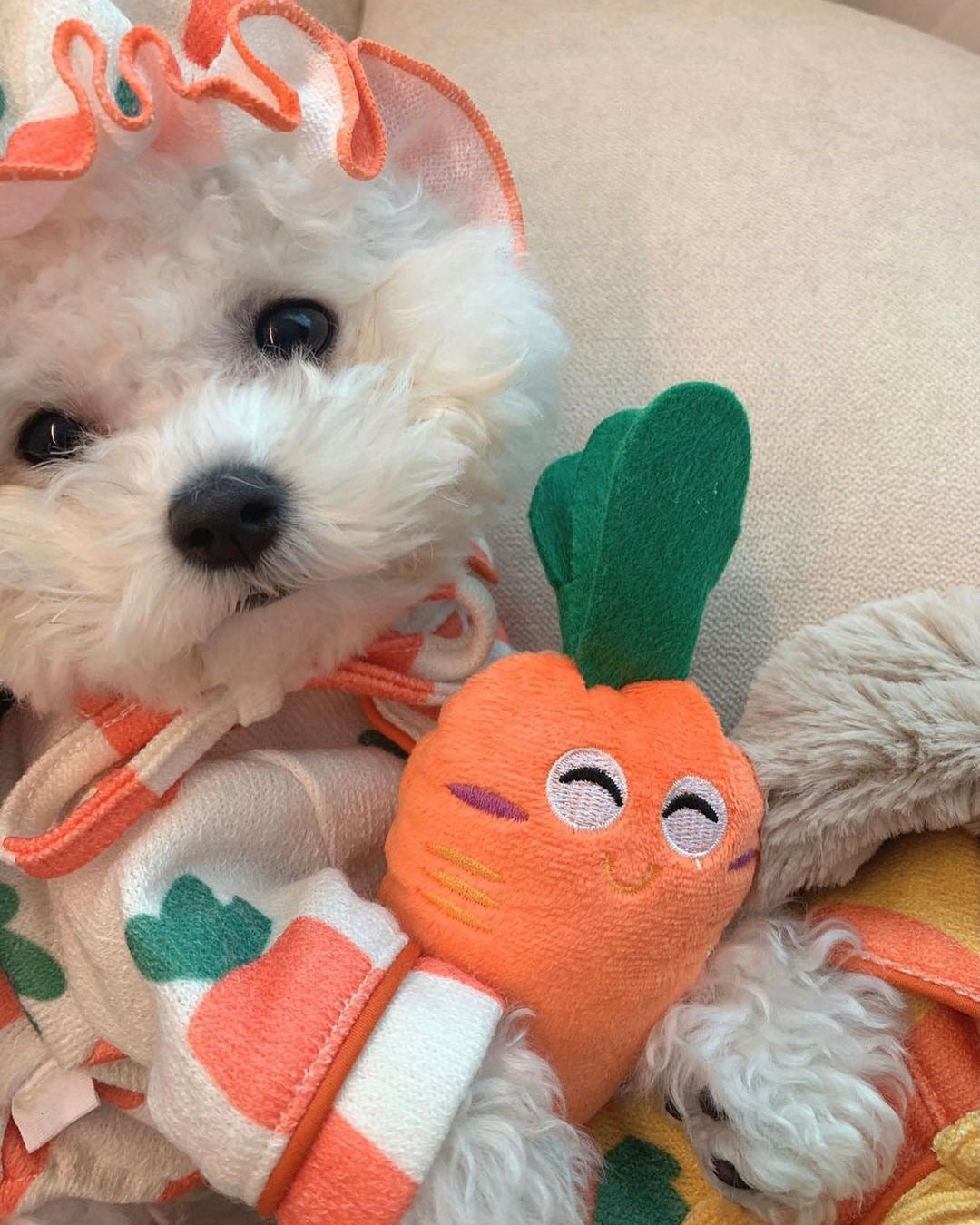 Cheeky Carrot Plush Squeaky Toy for Playful Pups
