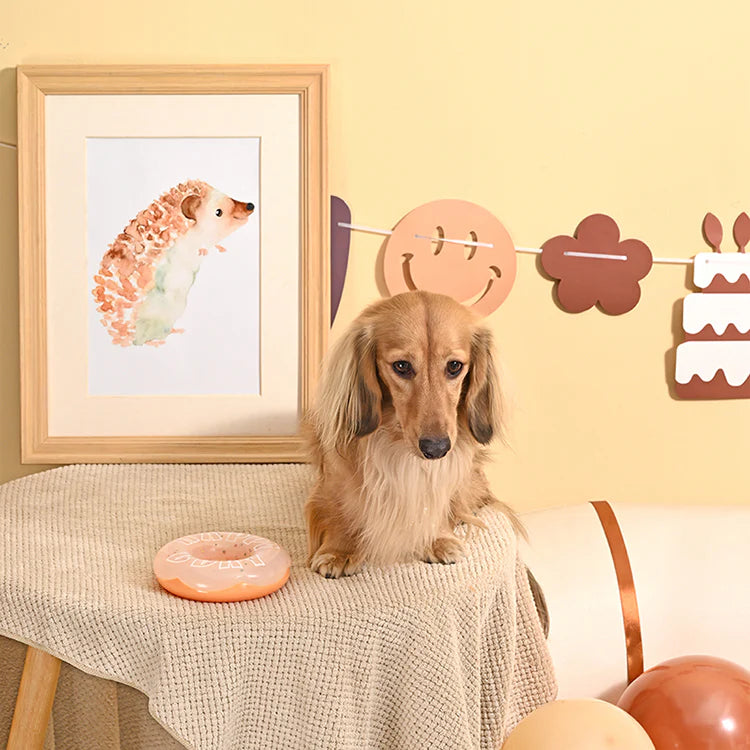 HugSmart Yappy Birthday TPR Donut Dog Toy – additional product view