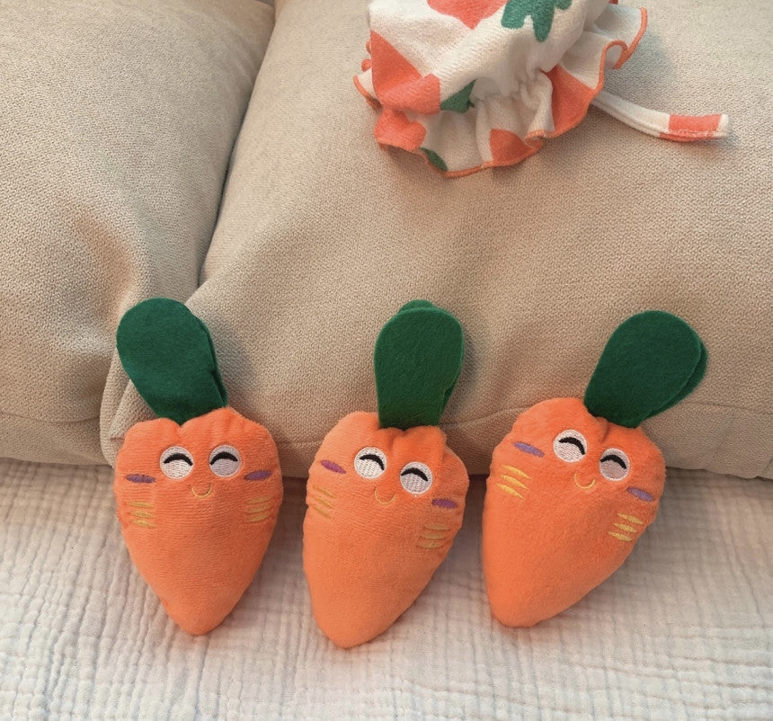 Cheeky Carrot Plush Squeaky Toy for Playful Pups