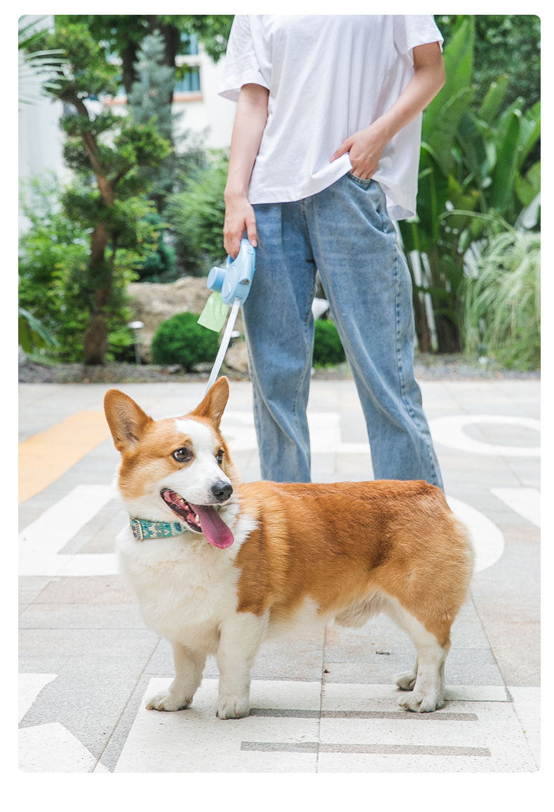 Retractable Dog Leash with Light – Automatic Lead for Safe Night Walks