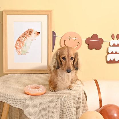 HugSmart Yappy Birthday TPR Donut Dog Toy – additional product view