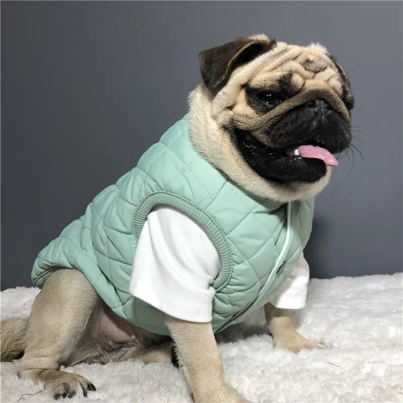 Quilted Dog Vest – Warm Cotton Jacket for Small to Medium Dogs