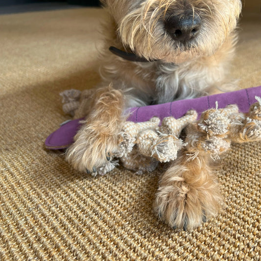 Georgie Paws Gerti the Grub Dog Toy – additional product view
