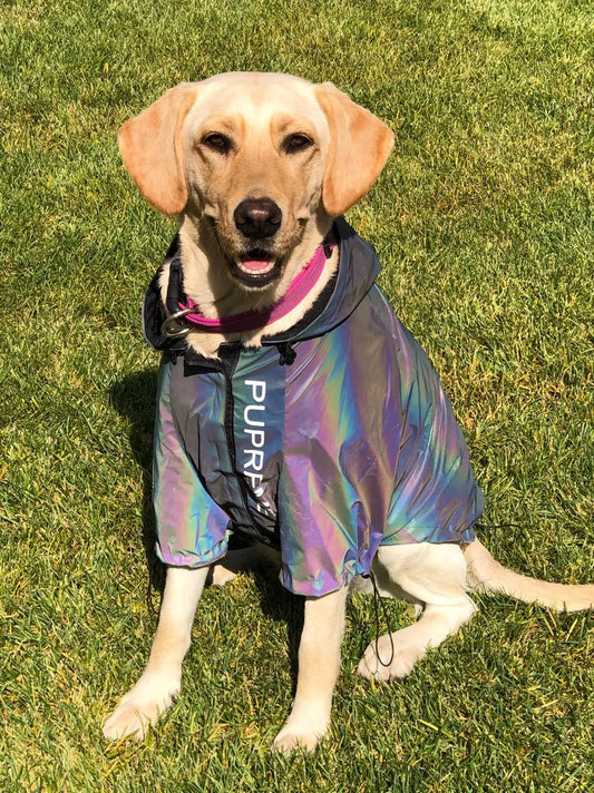 Reflective Dog Raincoat