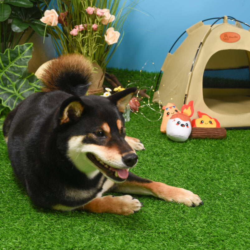 HugSmart Camping Pups Camp Hound Dog Toys – additional product view
